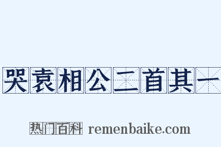 哭袁相公二首其一是什么意思的图片